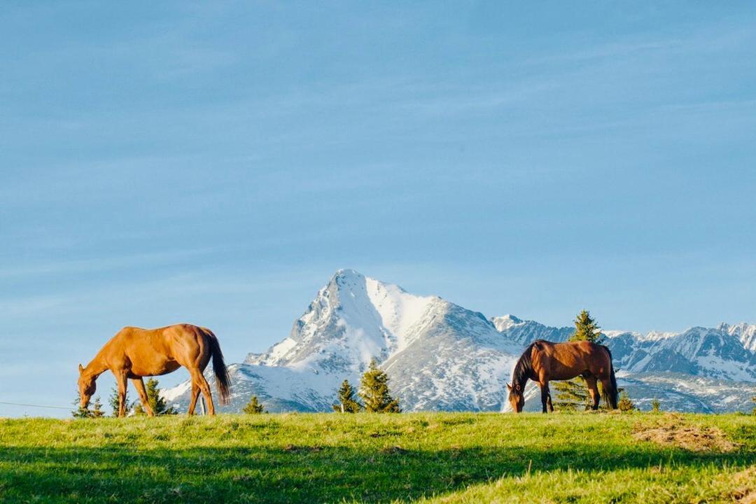 Holiday Resort Sefec Liptovská Sielnica المظهر الخارجي الصورة